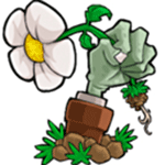 植物大戰僵尸 mac